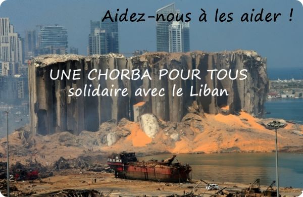 Opération Solidarité Liban